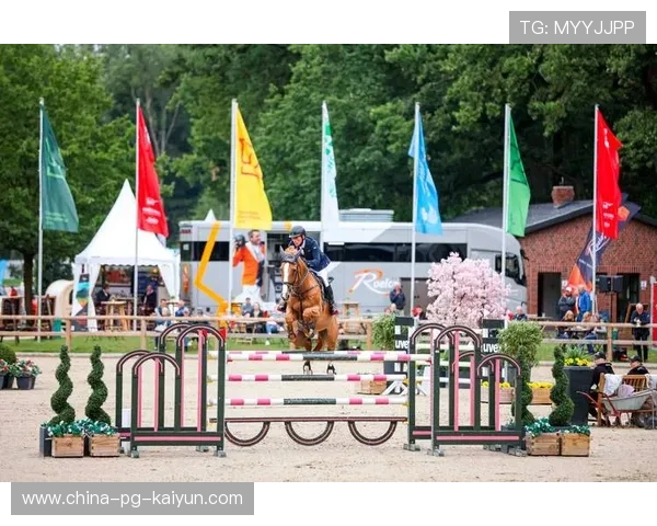 荷兰马术协会与科技公司合作，开发虚拟现实训练平台，提升骑手技能。